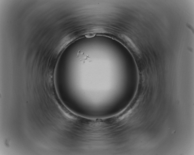 X0000097851225200803141210