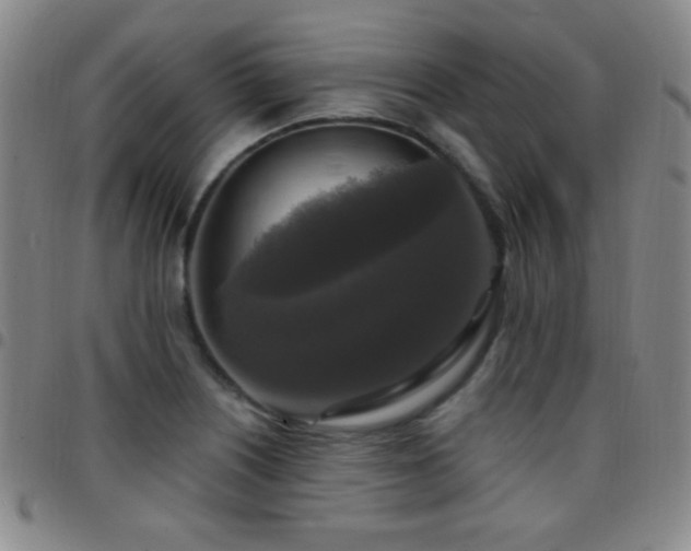 X0000097851226200803141210