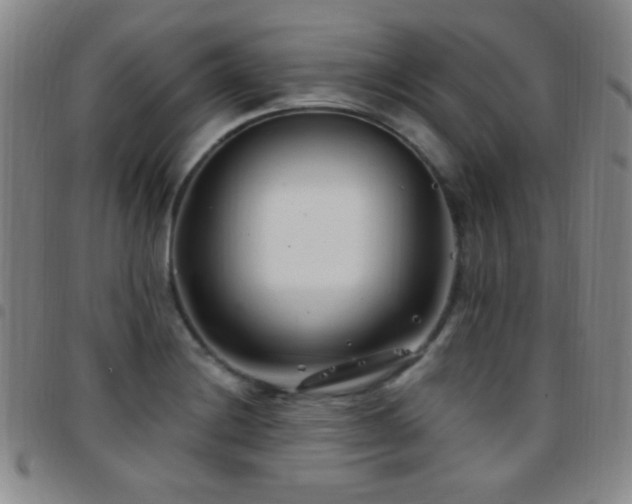 X0000097851228200803141210
