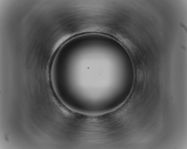 X0000097851230200803141210