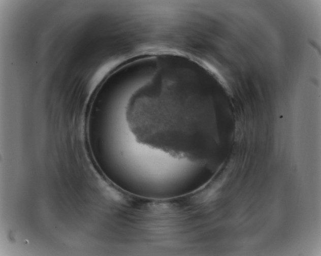 X0000097851231200803141210