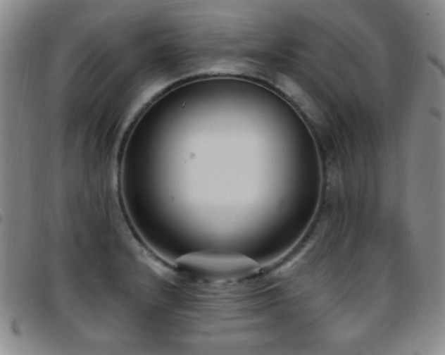 X0000097851232200803141210