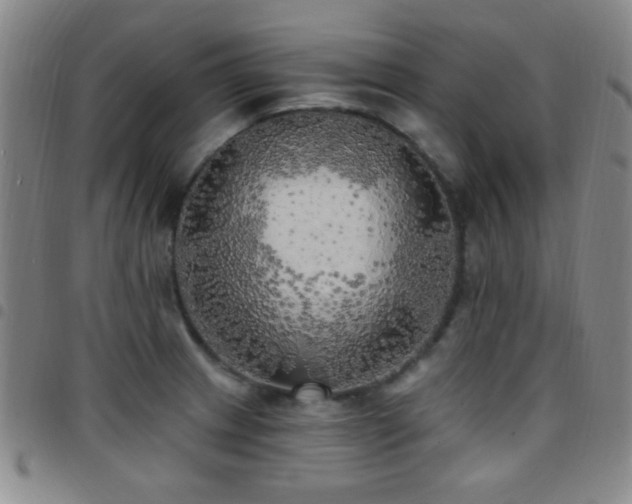 X0000097851233200803141210
