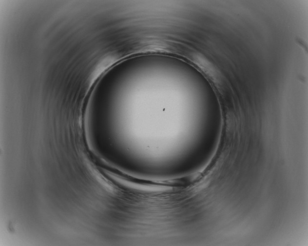 X0000097851234200803141210