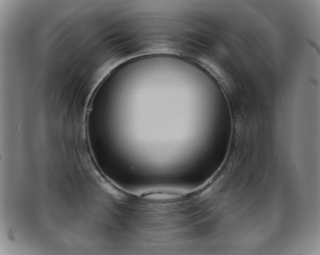 X0000097851236200803141210