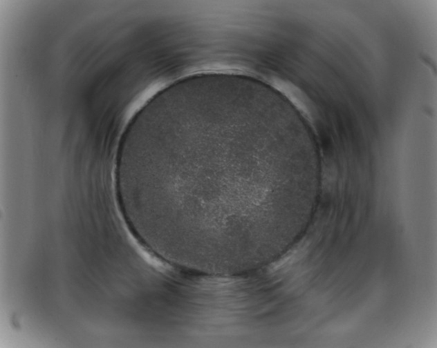X0000097851237200803141210