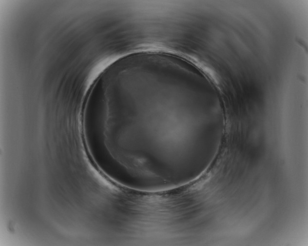X0000097851239200803141210