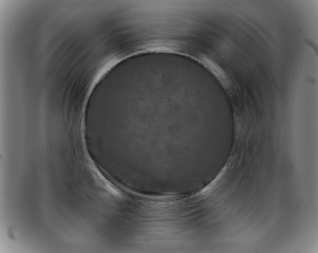 X0000097851240200803141210