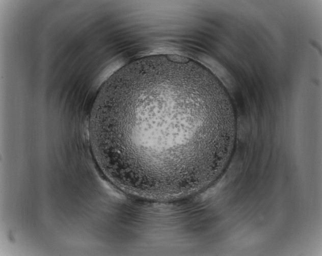X0000097851241200803141210