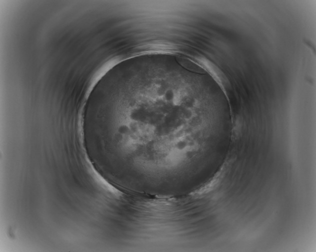 X0000097851243200803141210
