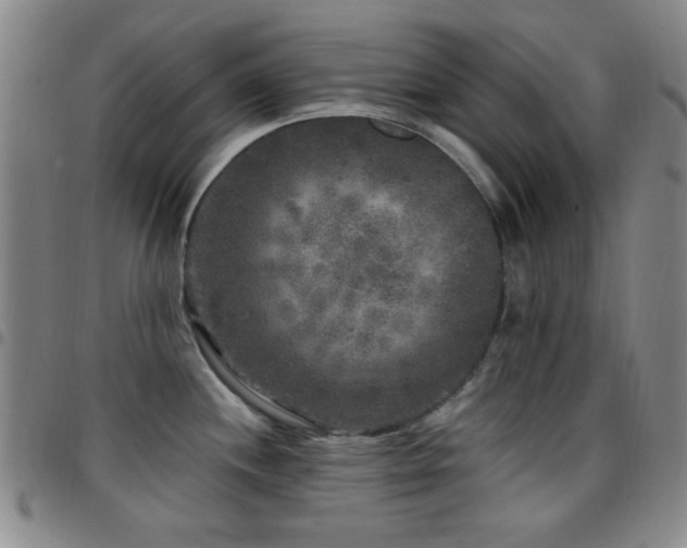 X0000097851244200803141210