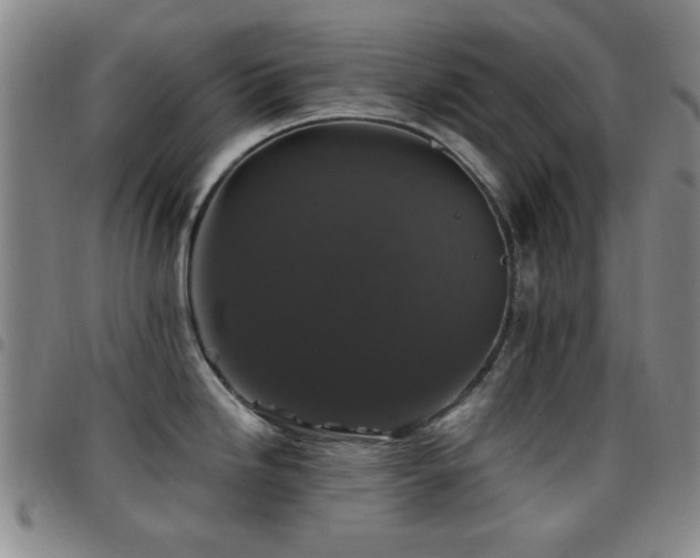 X0000097851246200803141210