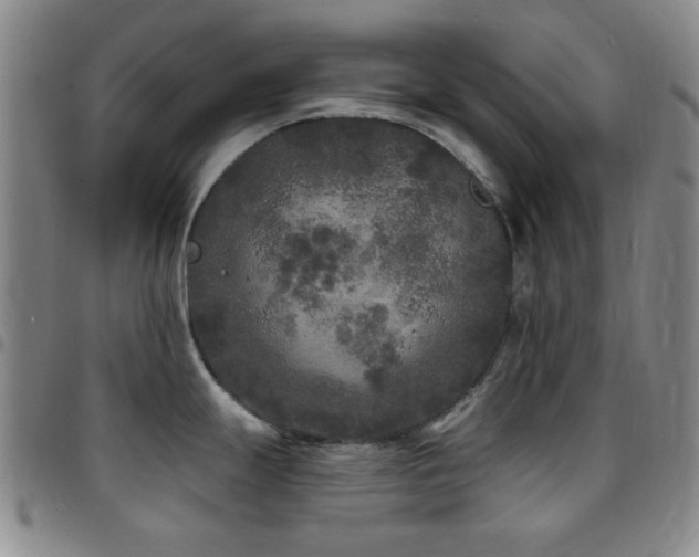 X0000097851247200803141210