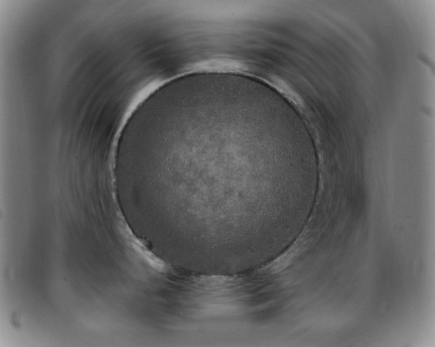 X0000097851248200803141210