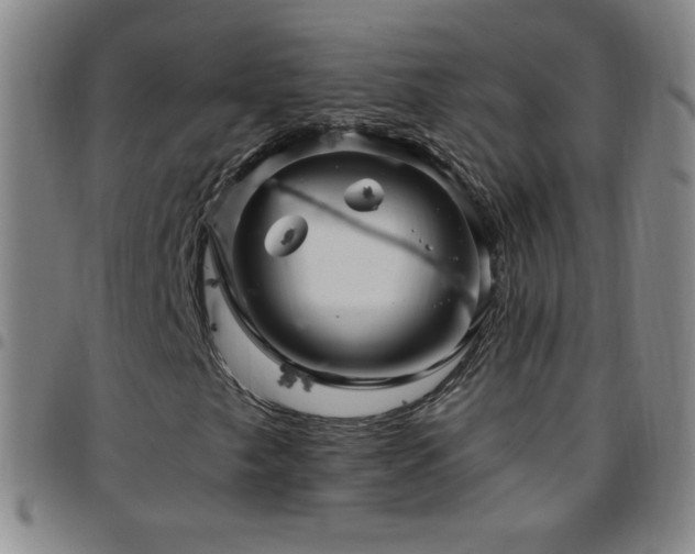 X0000097851249200803141210