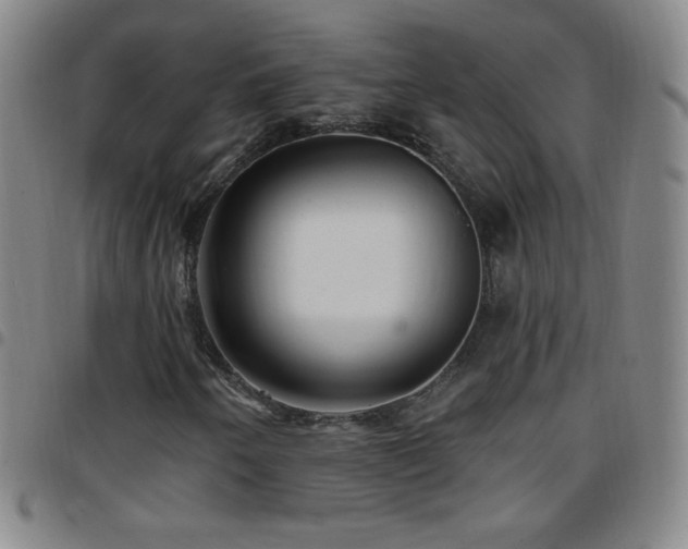 X0000097851250200803141210