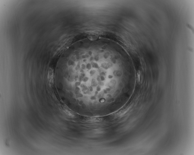 X0000097851251200803141210