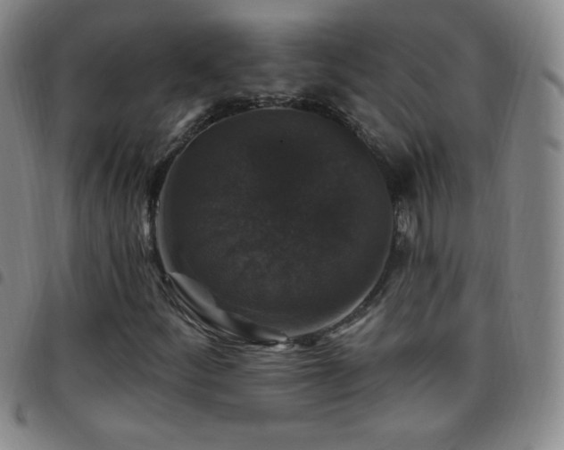 X0000097851252200803141210