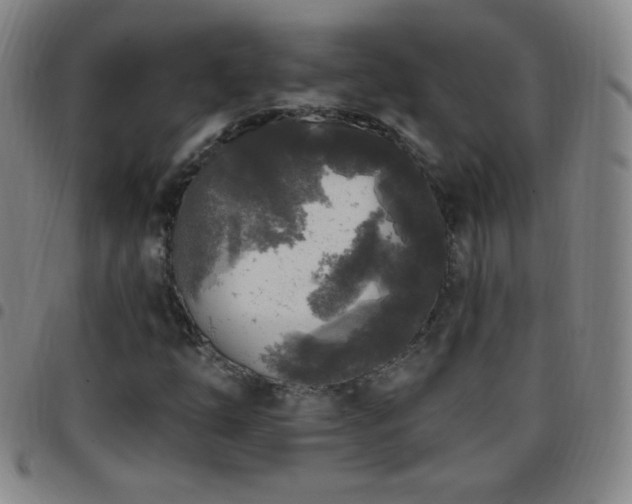 X0000097851254200803141210
