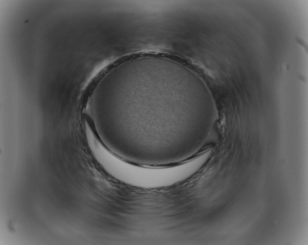 X0000097851256200803141210