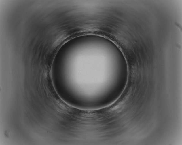 X0000097851257200803141210