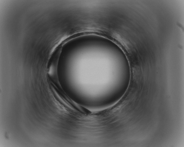 X0000097851260200803141210
