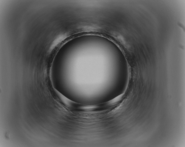 X0000097851261200803141210