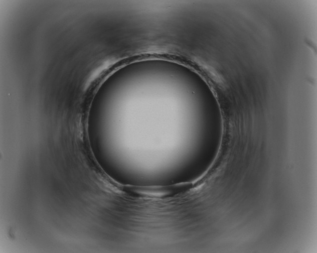 X0000097851262200803141210