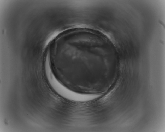 X0000097851263200803141210