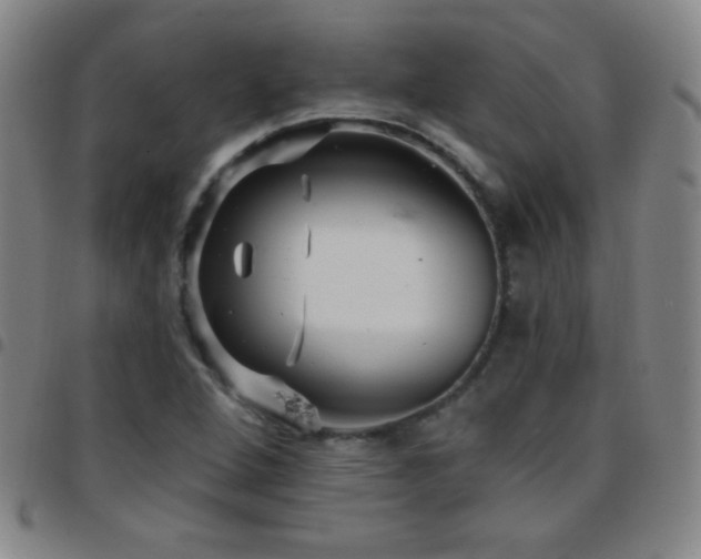 X0000097851264200803141210