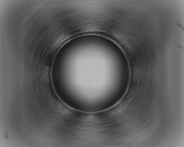 X0000097851265200803141209