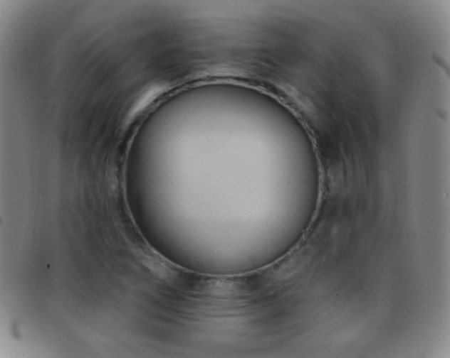 X0000097851266200803141209