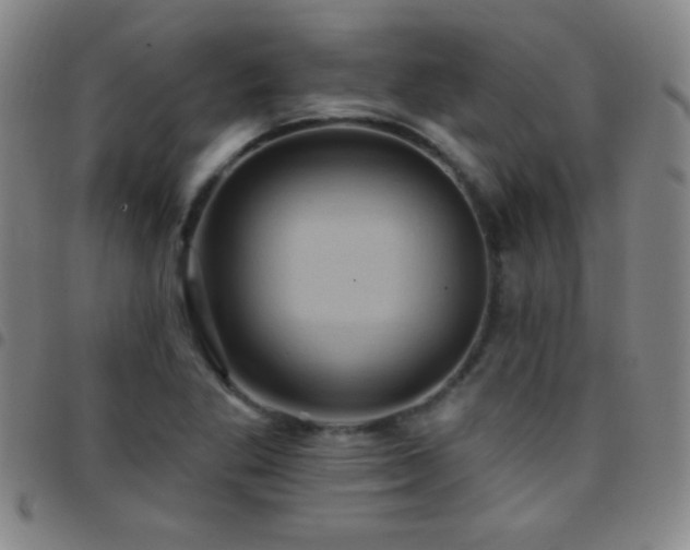 X0000097851269200803141209