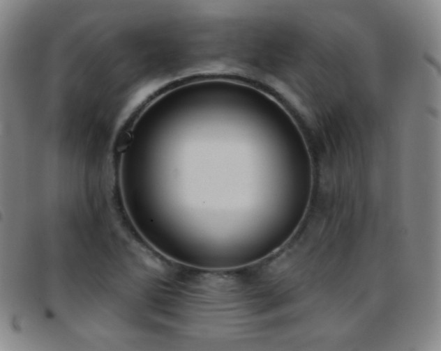 X0000097851270200803141209