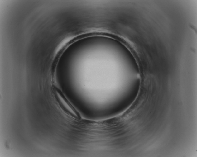 X0000097851271200803141209