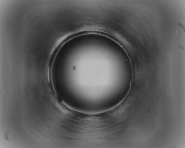 X0000097851272200803141209