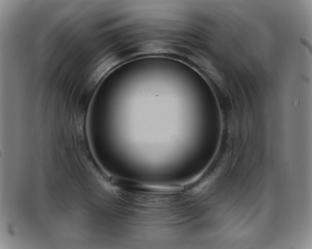 X0000097851273200803141209