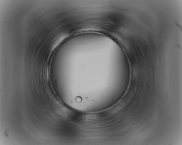 X0000097851274200803141209
