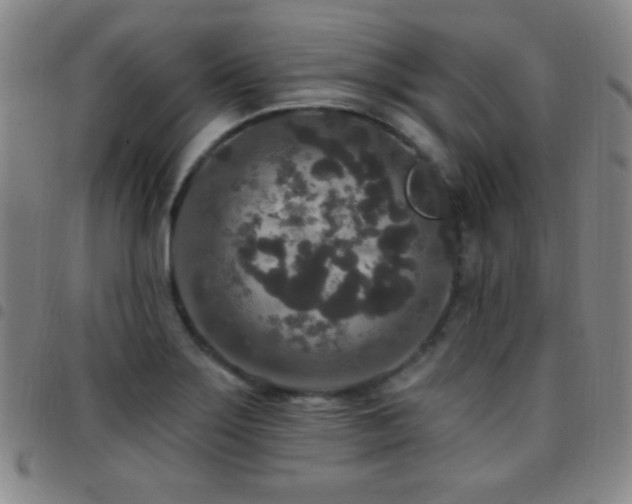 X0000097851275200803141209
