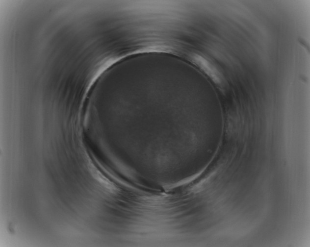 X0000097851276200803141209