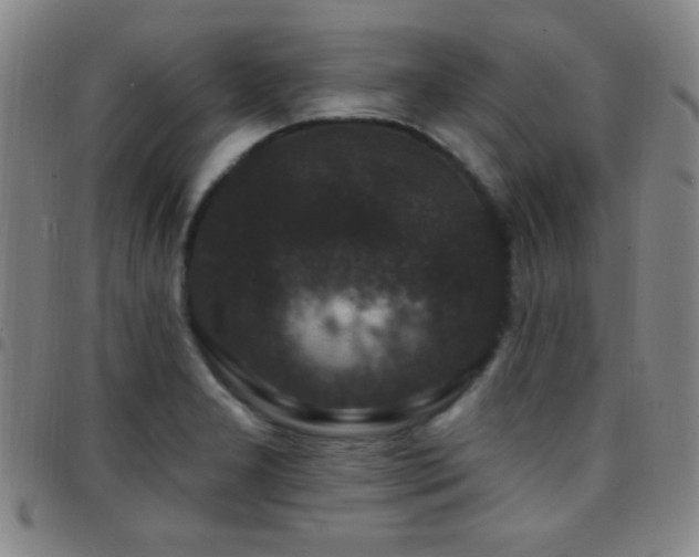 X0000097851277200803141209
