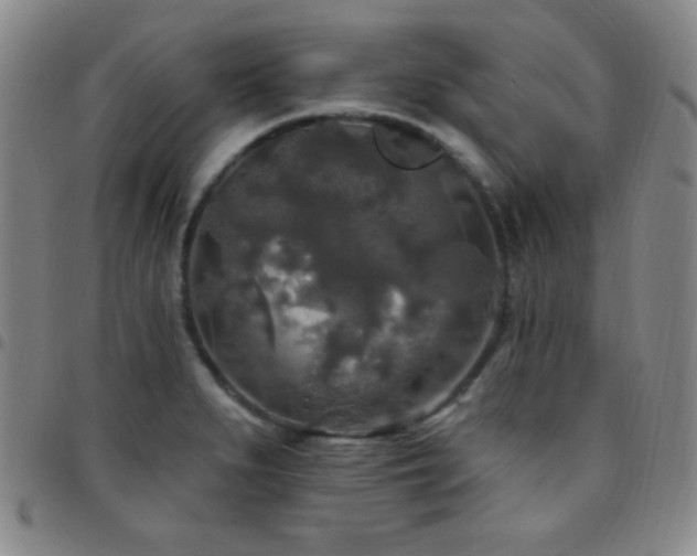 X0000097851279200803141209