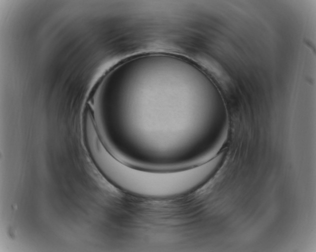 X0000097851280200803141209
