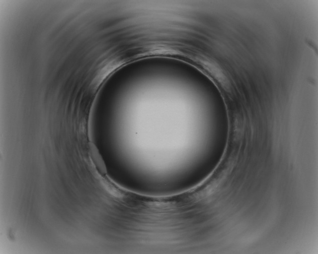 X0000097851281200803141209