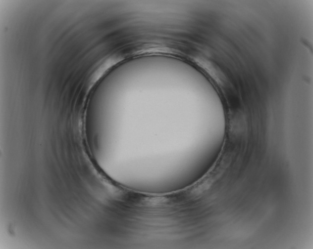X0000097851282200803141209