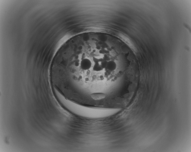 X0000097851283200803141209