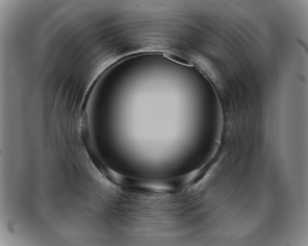 X0000097851284200803141209