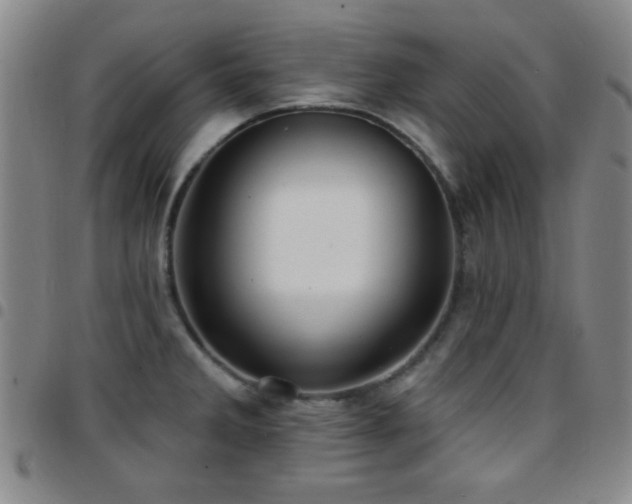 X0000097851285200803141209