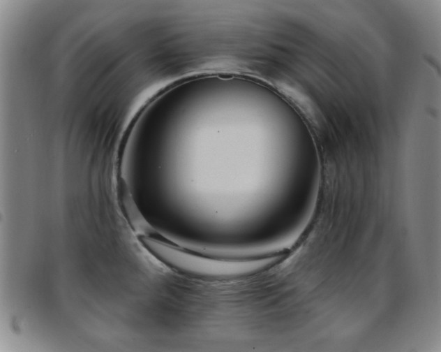X0000097851288200803141209
