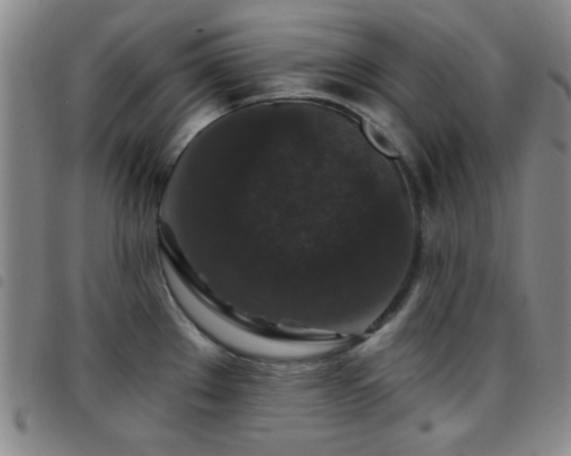 X0000097851289200803141209